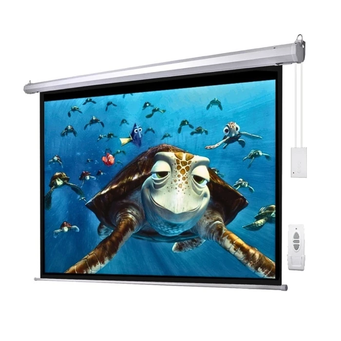 Projector Screens